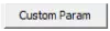 Custom Paramボタン